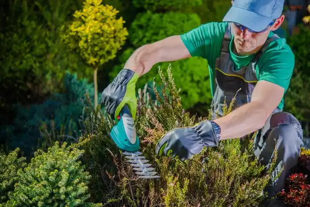 landscaping services Albertson